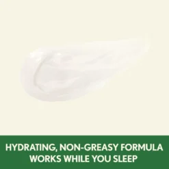 Aveeno Positively Radiant Night Cream -Deals Nude Flair Store 2234483cm alt04