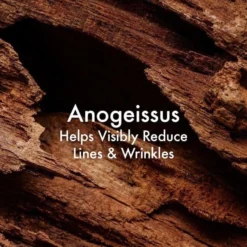 Origins Plantscription Youth-Renewing Power Night Cream -Deals Nude Flair Store 2307155cm alt03