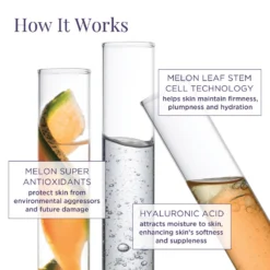 Youth Activating Melon Serum -Deals Nude Flair Store 2516045 alt03