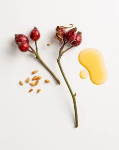 Rosehip Seed Oil -Deals Nude Flair Store 2548790cm alt01