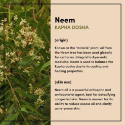 Neem & Tea Tree Purifying Skincare Heroes