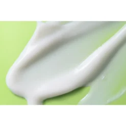 Burt's Bees Sensitive Daily Moisturizer Cream