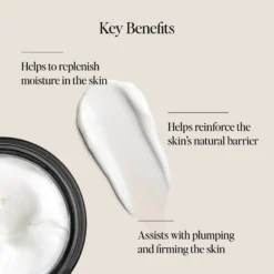 Dewy Day Cream -Deals Nude Flair Store 2612541 alt06