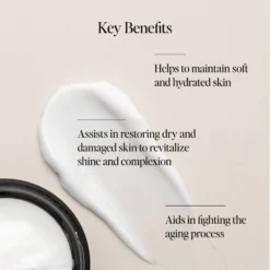 Restorative Night Cream -Deals Nude Flair Store 2612542 alt06